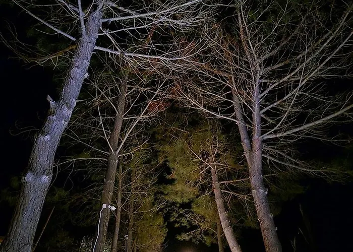 Appartement Alexandra 6 Lefkímmi