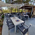 Alexandra 6
