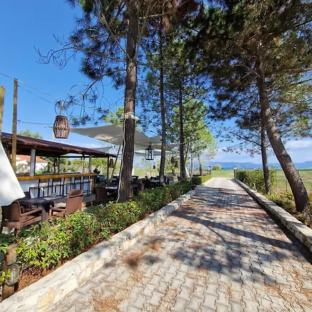 Apartman Alexandra 6